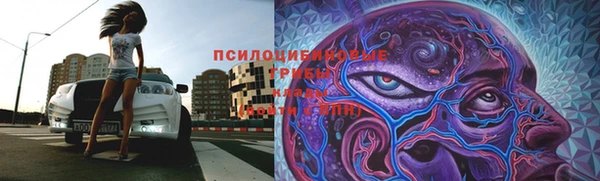 прущая мука Абаза