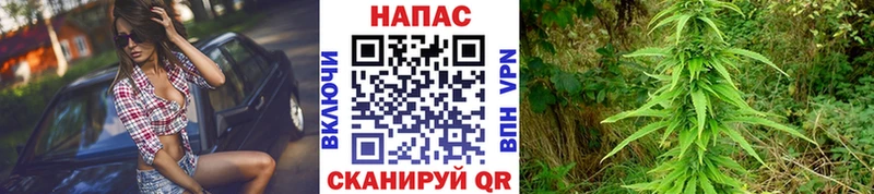 kraken ONION  Ленинградская  Шишки марихуана планчик 